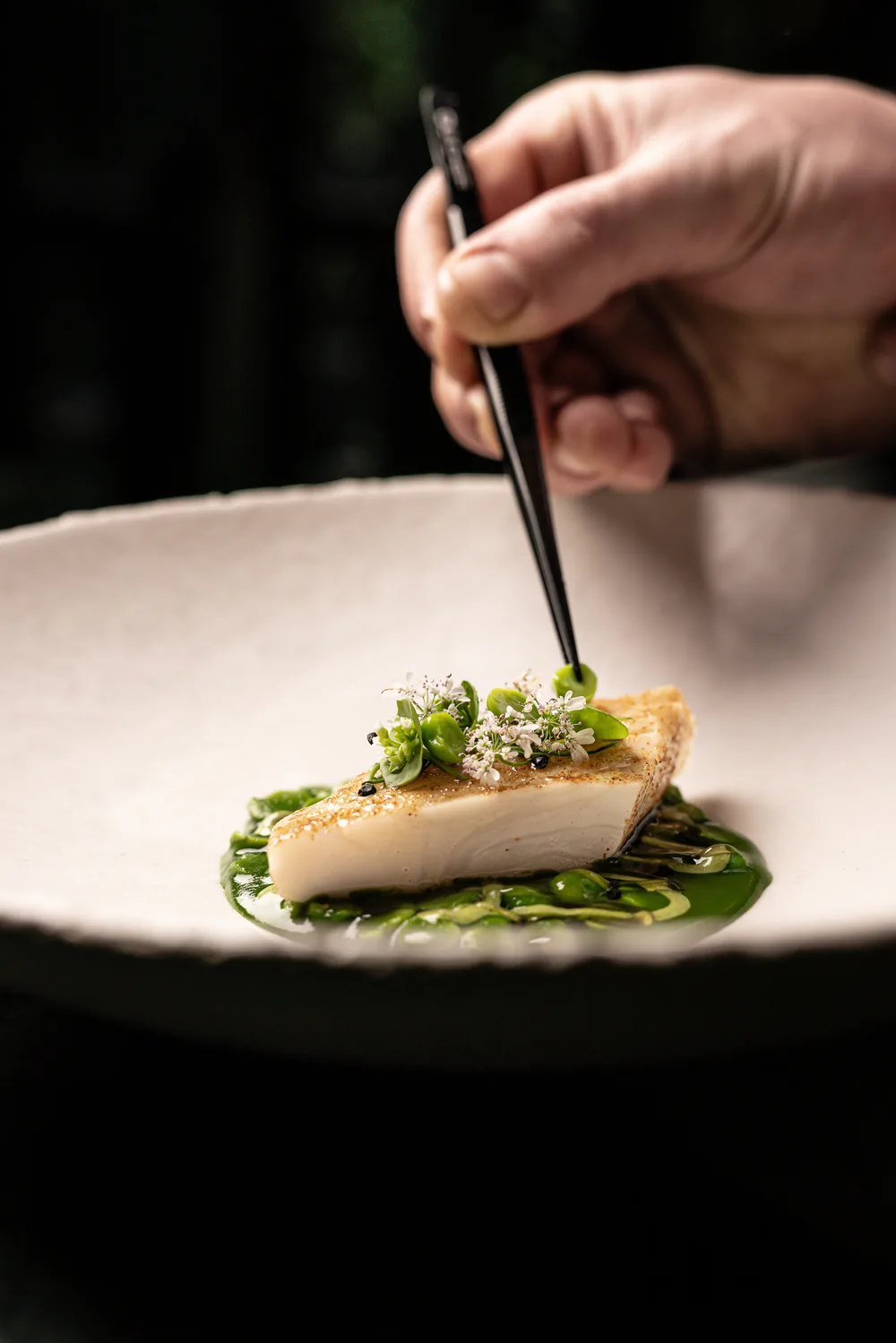 Poisson dressé à la pince sur fond vert